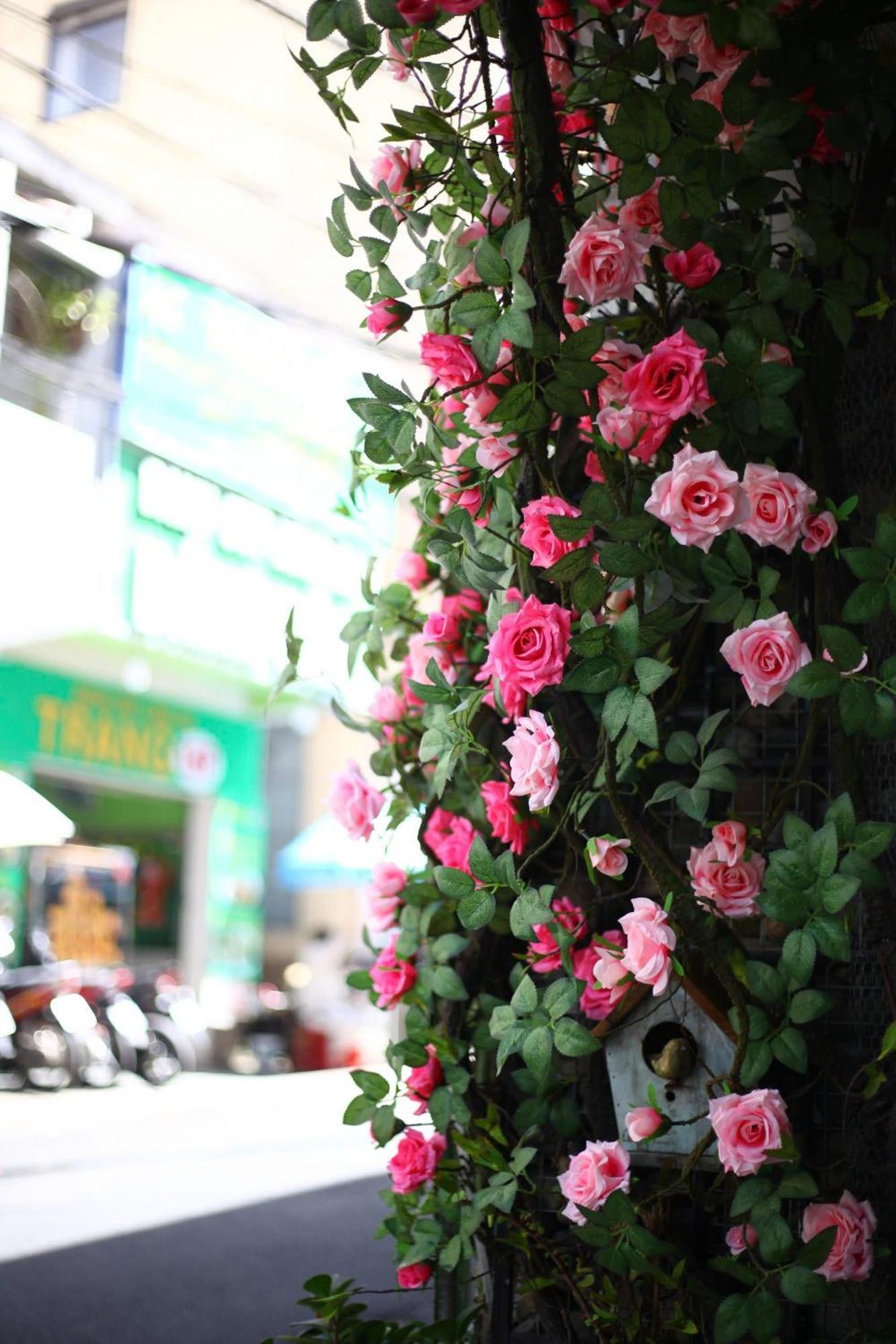 Hotel Ruby Rose House Đà Lạt Exterior foto